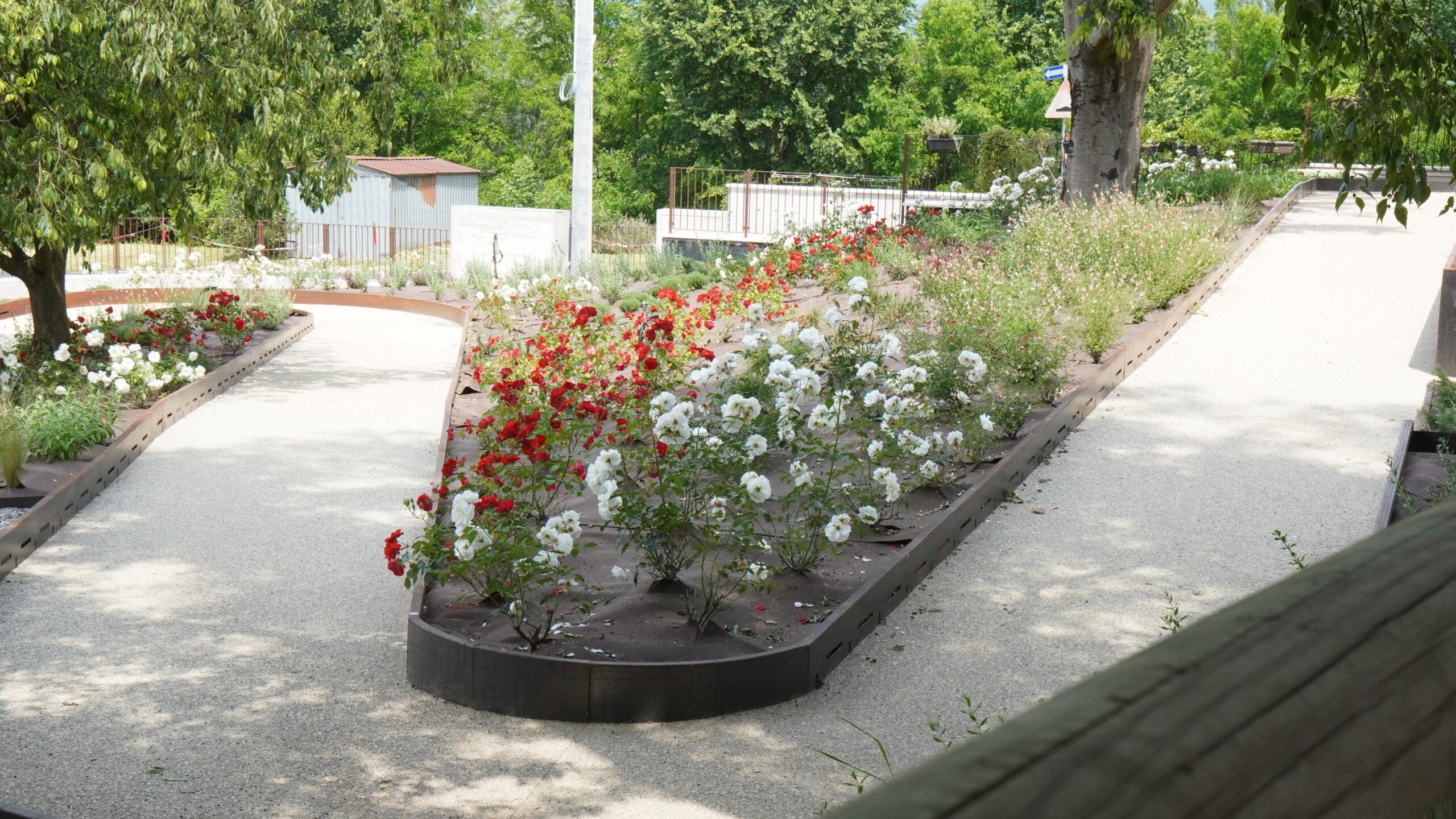 DSC01860